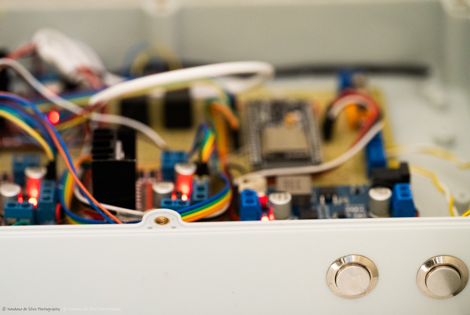 Fish Feeder - View 2