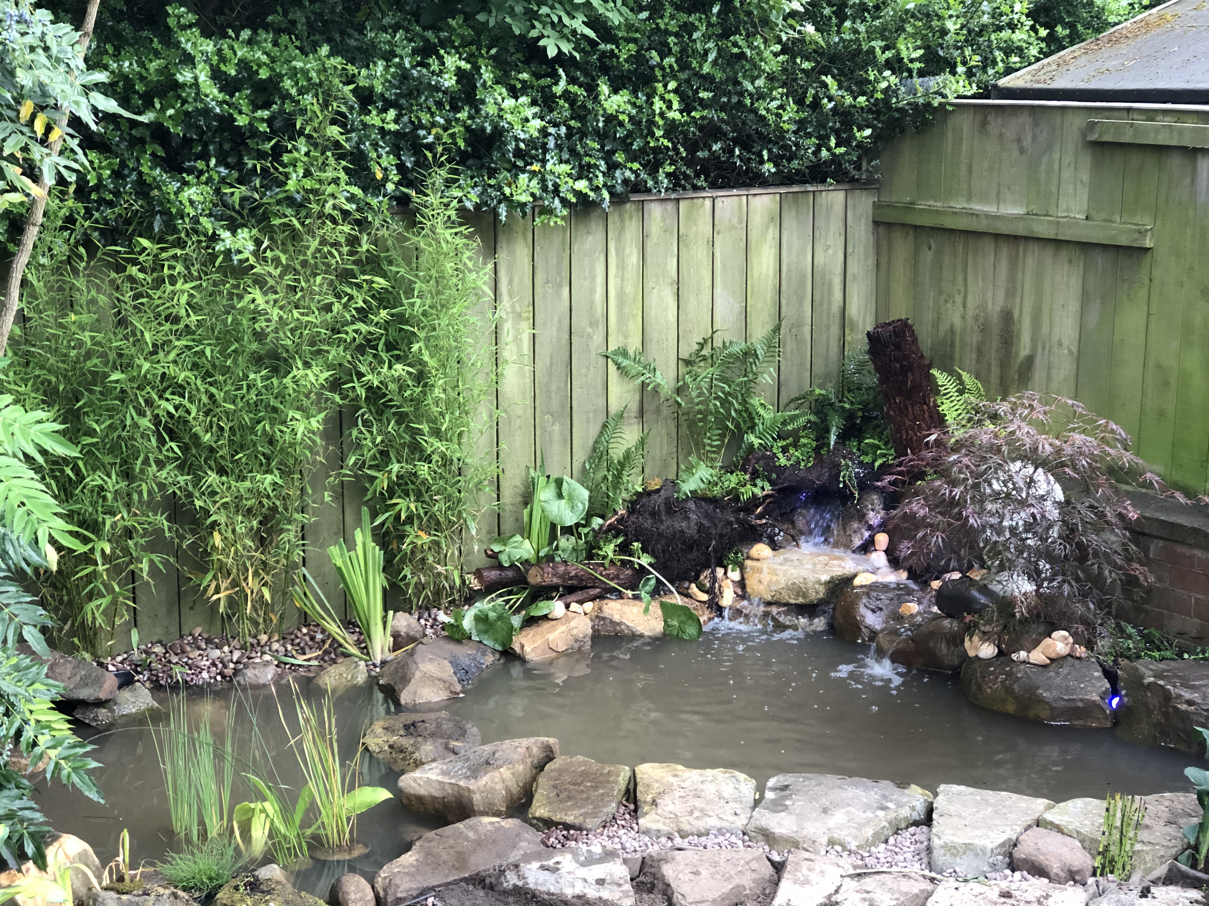 Garden Pond - Waterfall Feature