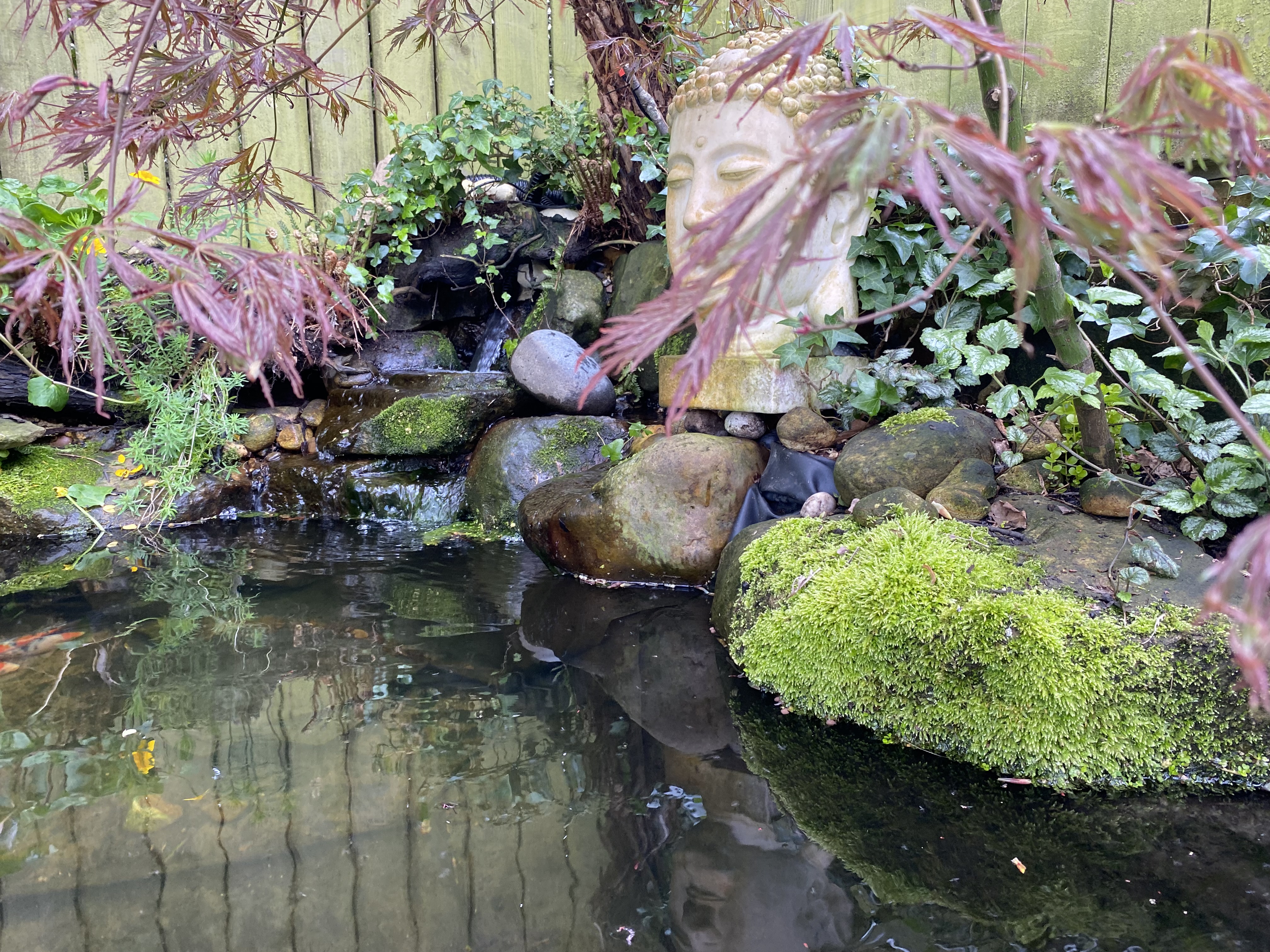 Garden Pond - Pond Edge with Buddha