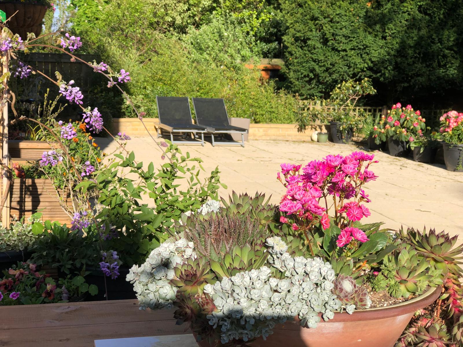 Garden - Patio Planters