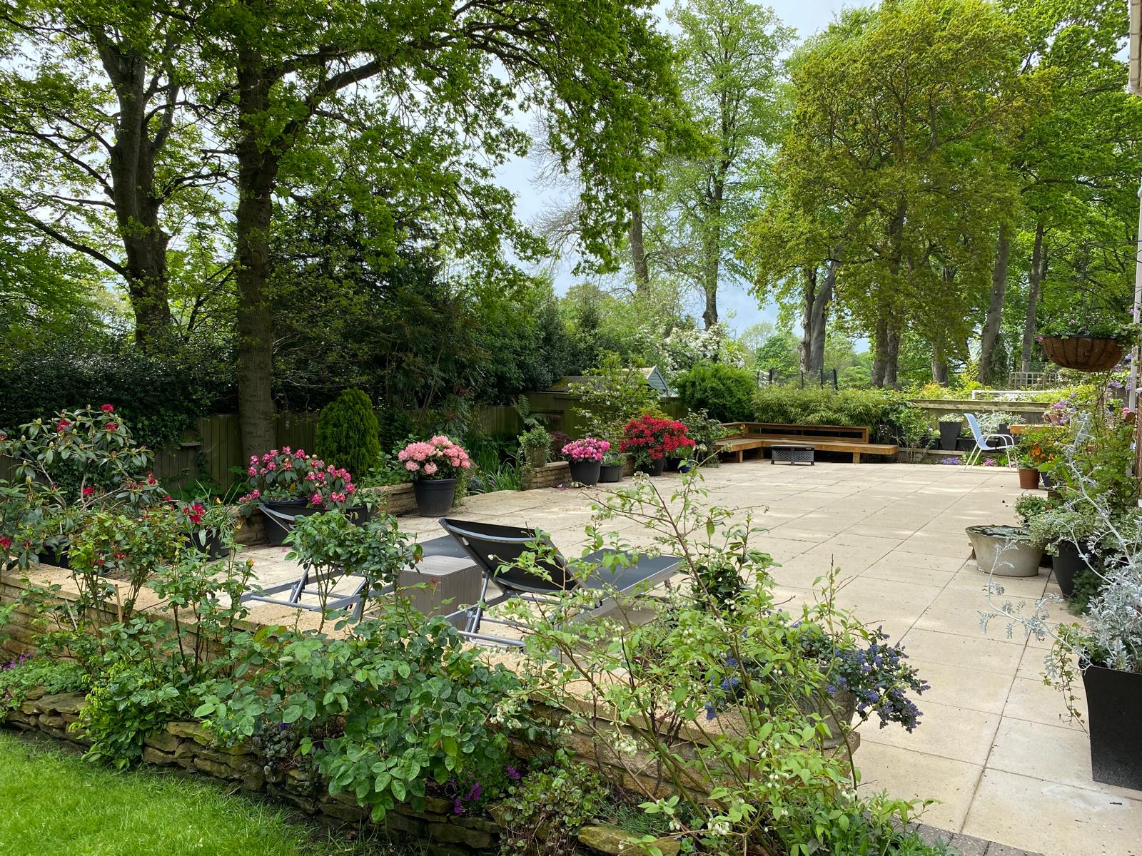 Garden - Patio Overview