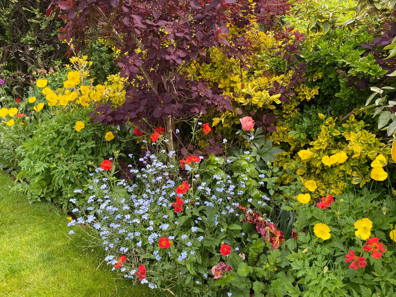 Garden - Cottage Garden Border