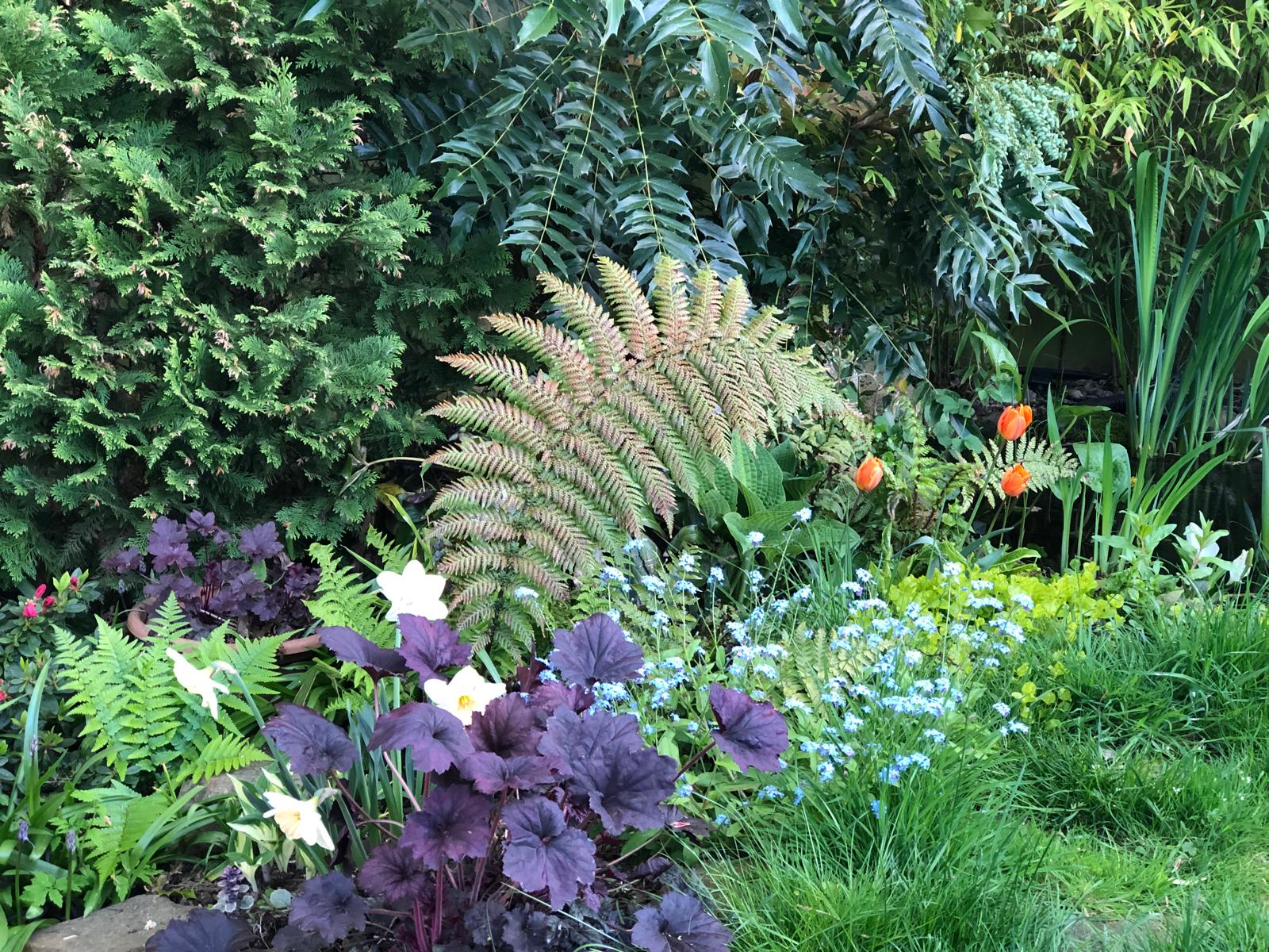 Garden - Mixed Perennial Border