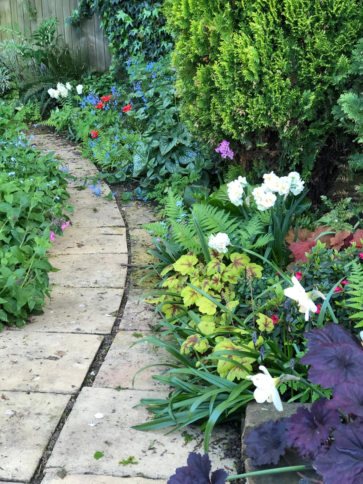 Garden - Pathway with Spring Planting