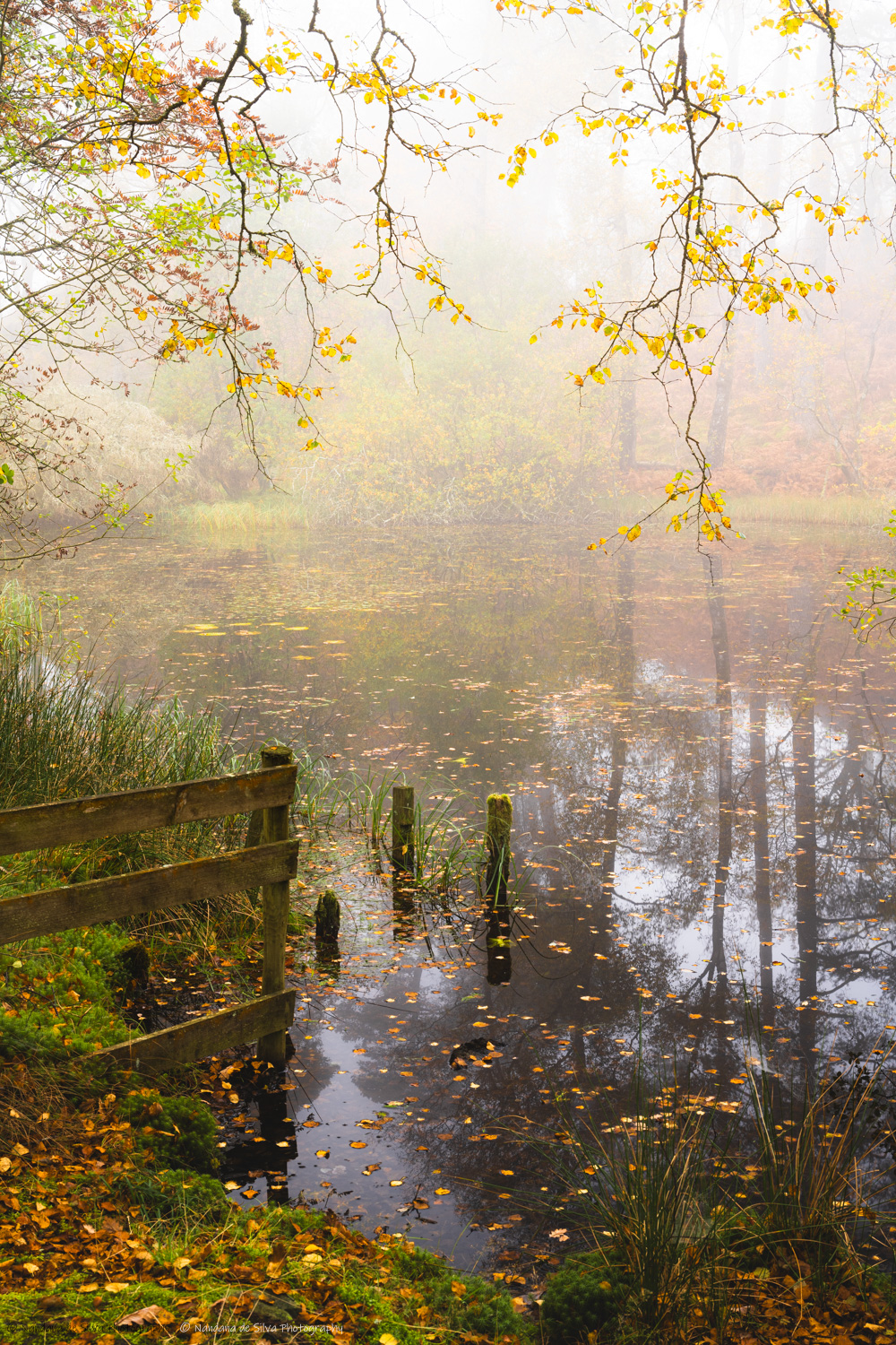 Autumn in the Lakes